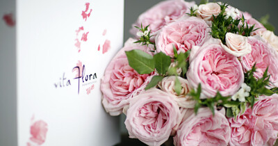 粉色的O'hara玫瑰