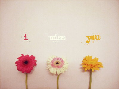 miss you、Flowers、花、miss、you