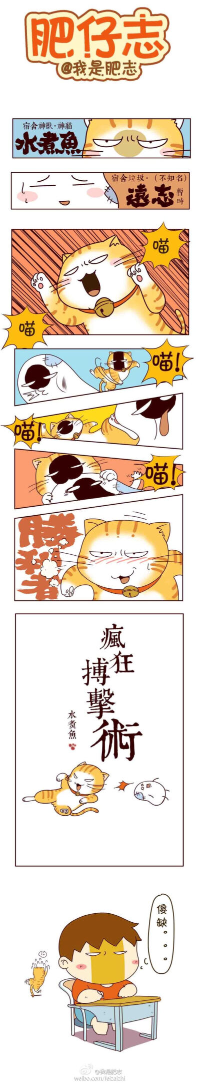 【肥仔志】一件垃圾就能玩一整天，真是一只廉价的猫。。@我是肥志