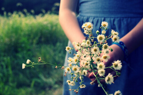  Daisy♡✿