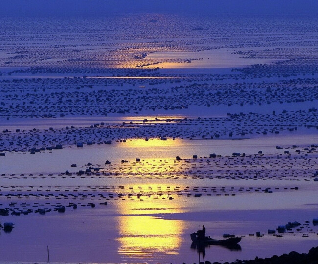 【中国最美的地方】清晨的海滩，霞浦围江