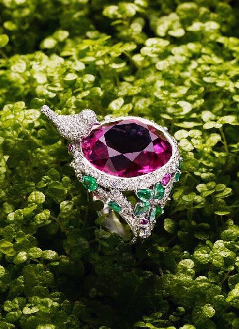 imelight Garden Party Cocktail Ring~停留在指间撒欢的小鸟吟唱着珠宝的光芒…珠宝幻化成女人魔幻梦境，迷离之美让人沉醉不已！