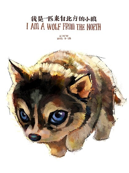 我是一匹来自北方的小狼 I AM A WOLF FROM THE NORTH