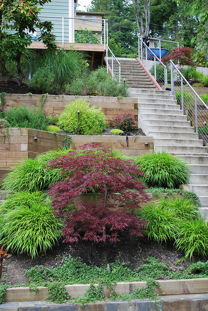 Landscape Design for Seattle