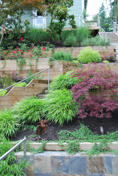 Landscape Design for Seattle