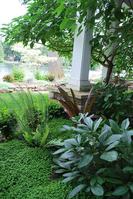 Landscape Design for Seattle Stock & Hill Landscapes, Inc. Landscape Design and Landscape installation services for the Seattle, WA area and Eastside. Over 30 years experience with award winning garden design.