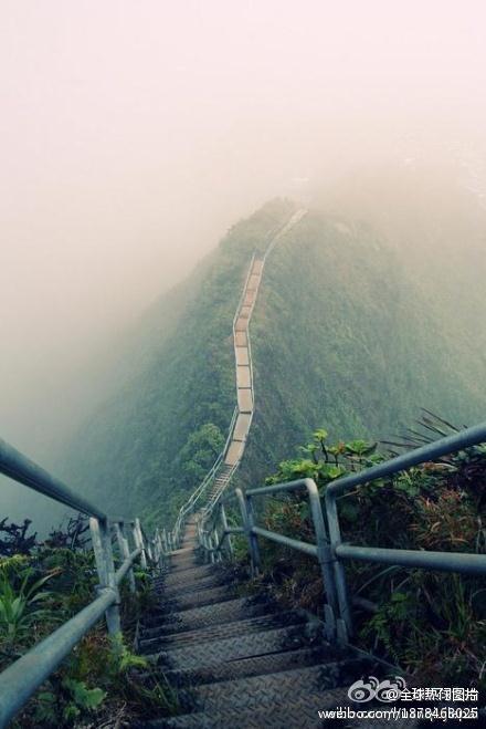 夏威夷瓦胡岛的一段山路，好风景是给一定要的人准备的!