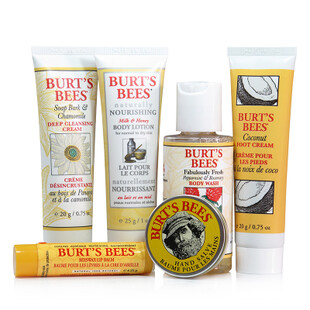 Burt's Bees小蜜蜂从头到脚经典6件护理套装-旅行装