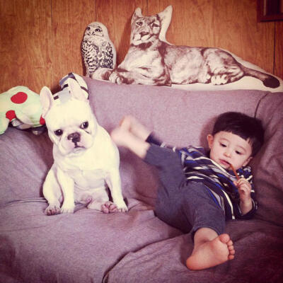 Aya Sakai记录下了儿子与家中宠物——一只法国斗牛犬之间的亲密友谊。