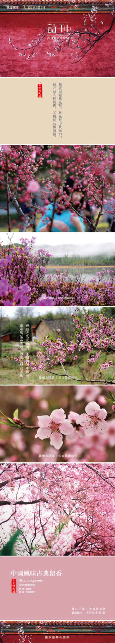 桃花坞里桃花庵,桃花庵下桃花仙;桃花仙人种桃树,又摘桃花换酒钱。酒醒只在花前坐,酒醉还来花下眠;半醒半醉日复日,花落花开年复年。但愿老死花酒间,不愿鞠躬车马前；车尘马足富者趣,酒盏花枝贫者缘。别人笑我太疯癫,…