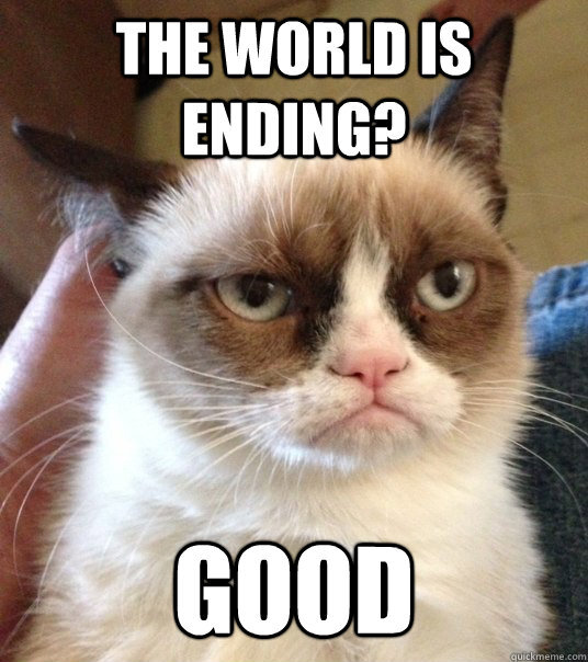 grumpy cats really makes my day.