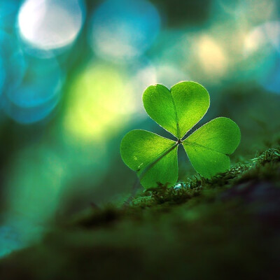 Luck 'o' the Irish