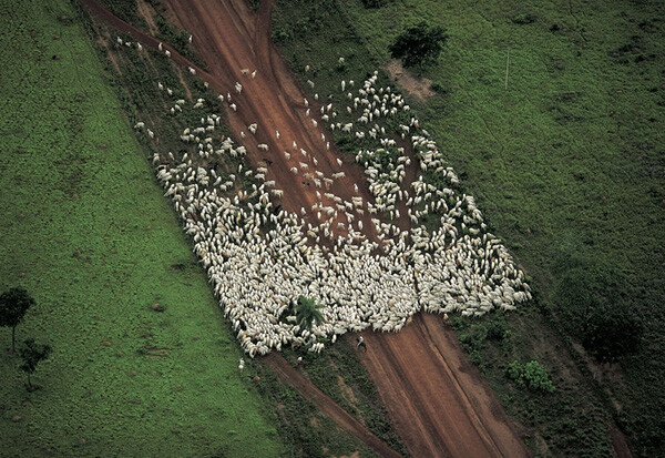 法国著名摄影师Yann Arthus-Bertrand作品..