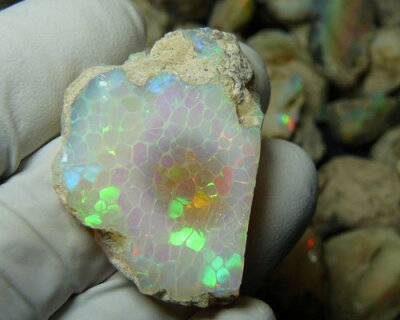 pennyroyal-wine-fly: Ethiopian Opal with a rare ‘Honeycomb’ Pattern