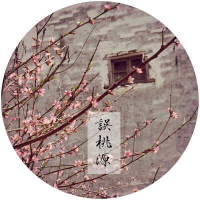 摄影 花间词·误桃源【熊小雪】