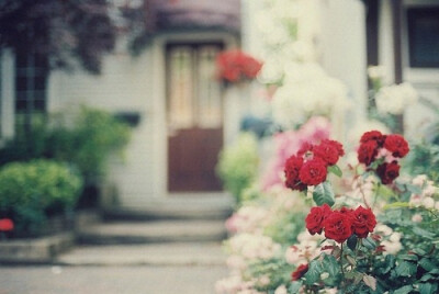 曾经以为的全部，不过如此而已