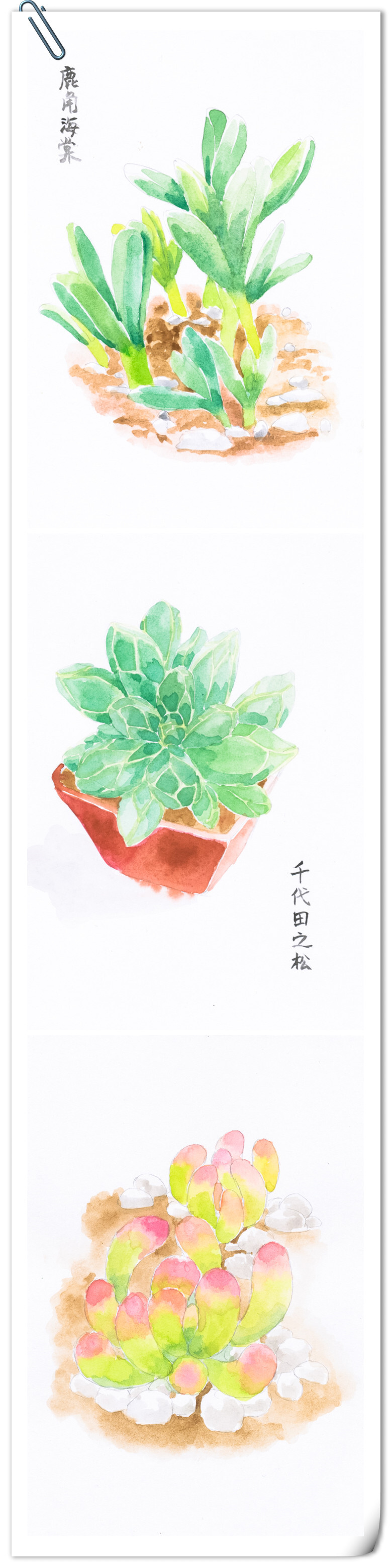  想一想还是应该做成印刷品来卖呀~