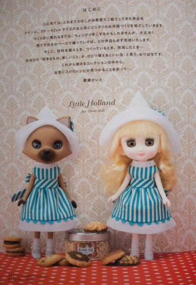 Dolly Dress Book 特别 娃衣制作教程 手工书 多莉