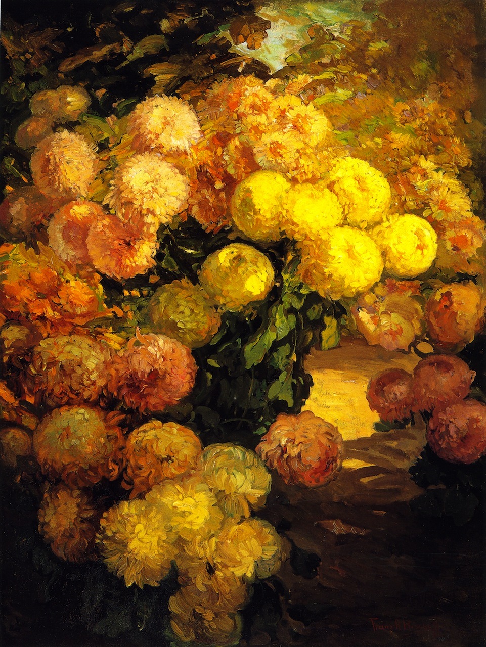 Franz Bischoff - Chrysanthemums