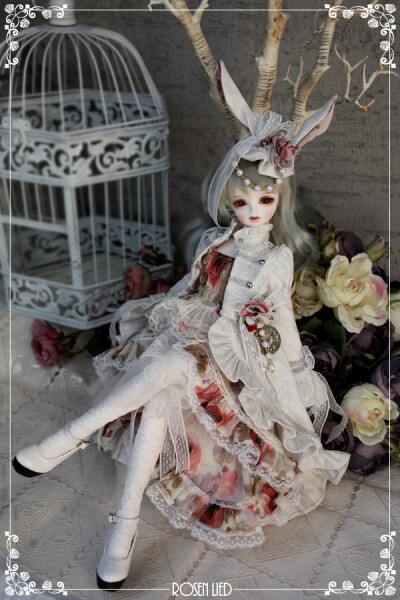 Wednesday's Child Limited Jerome - White rabbit (ver. girl)