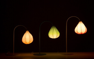 Bloom Lamps 灯具设计