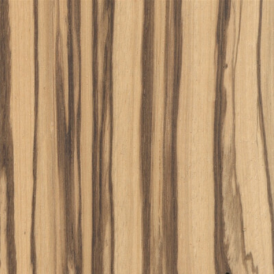 美洲斑马木 zebrawood