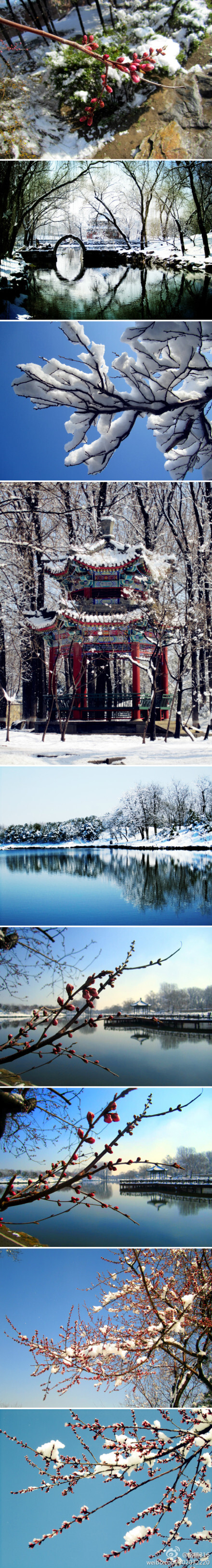 颐和园雪景。2013.03.20