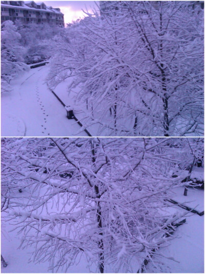 一场春雪