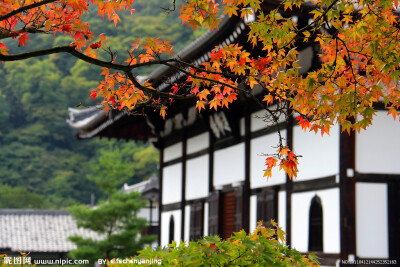 ``Kyoto 京都