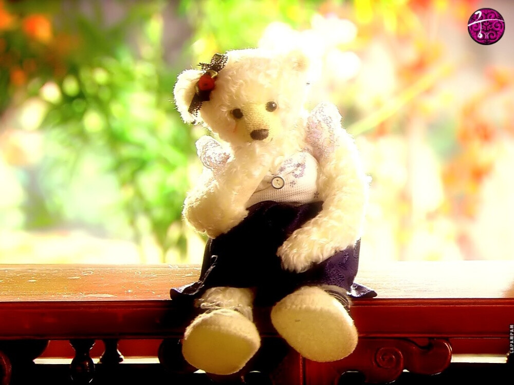 出现在韩剧「宫」里的泰迪熊