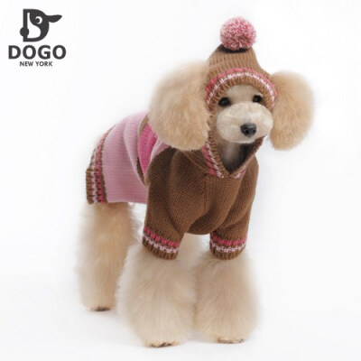 DOGO 2011年冬运动彩球连帽毛衣泰迪狗衣服宠物服饰实物超漂亮 ￥76.0