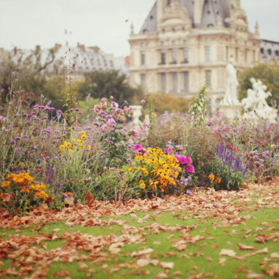 Tuileries, Paris (by liz.rusby)