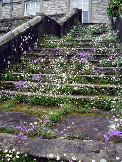 Sizergh-Castle-and-Garden