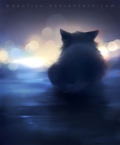 超级可爱的猫咪