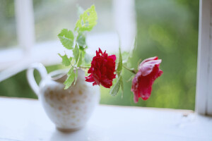 By Евгения  Малахова-清新