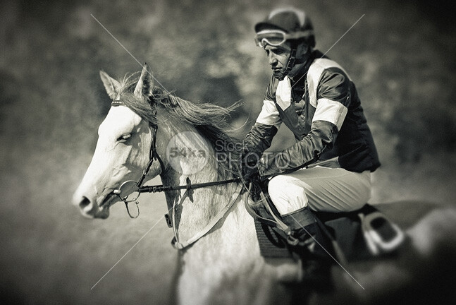 Jockey and Horse Photo Portrait Before Start Racing touching Togetherness Success stallion sports sport serendipity Senior Adult Riding portrait People Loving Jockey Human Head Horseback Riding horse Friendship Extreme Sports equestrian Character Traits Caucasian black and white beauty b&amp;w Arabi