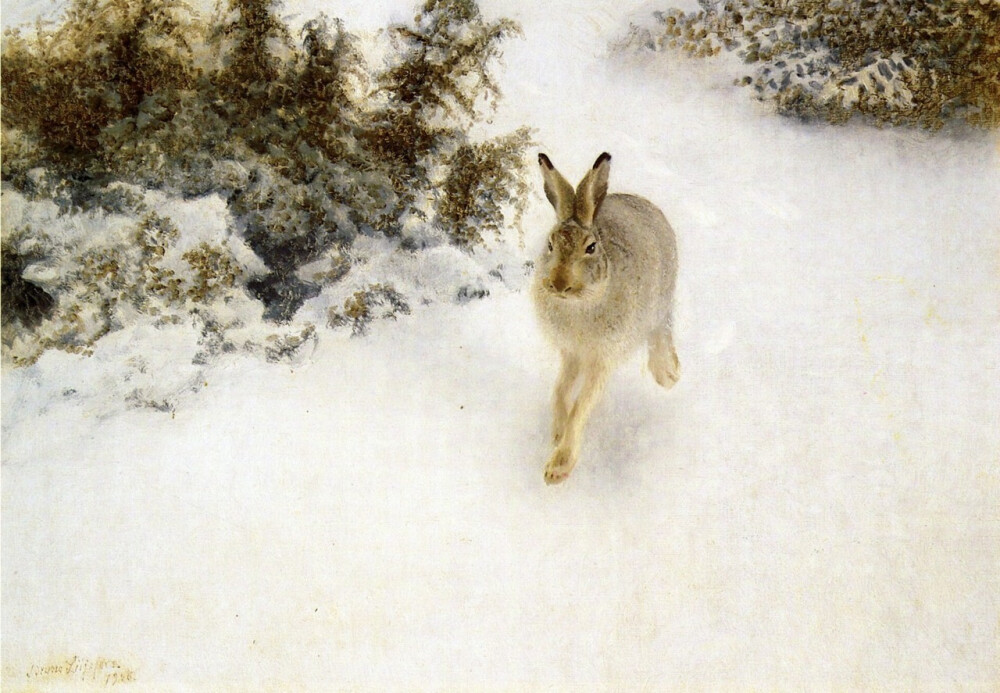 Bruno Liljefors - Winter Hare (1908)