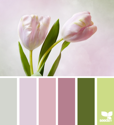 tulip tones