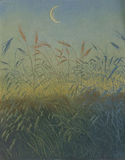 Arthur Illies - Ripe Cornfield, Evening, 1896