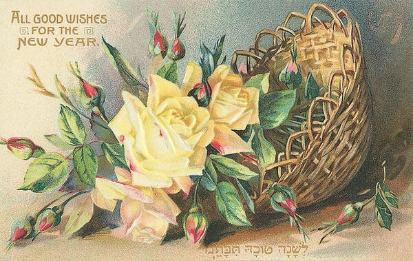 【搬】复古明信片 —— 花卉·3