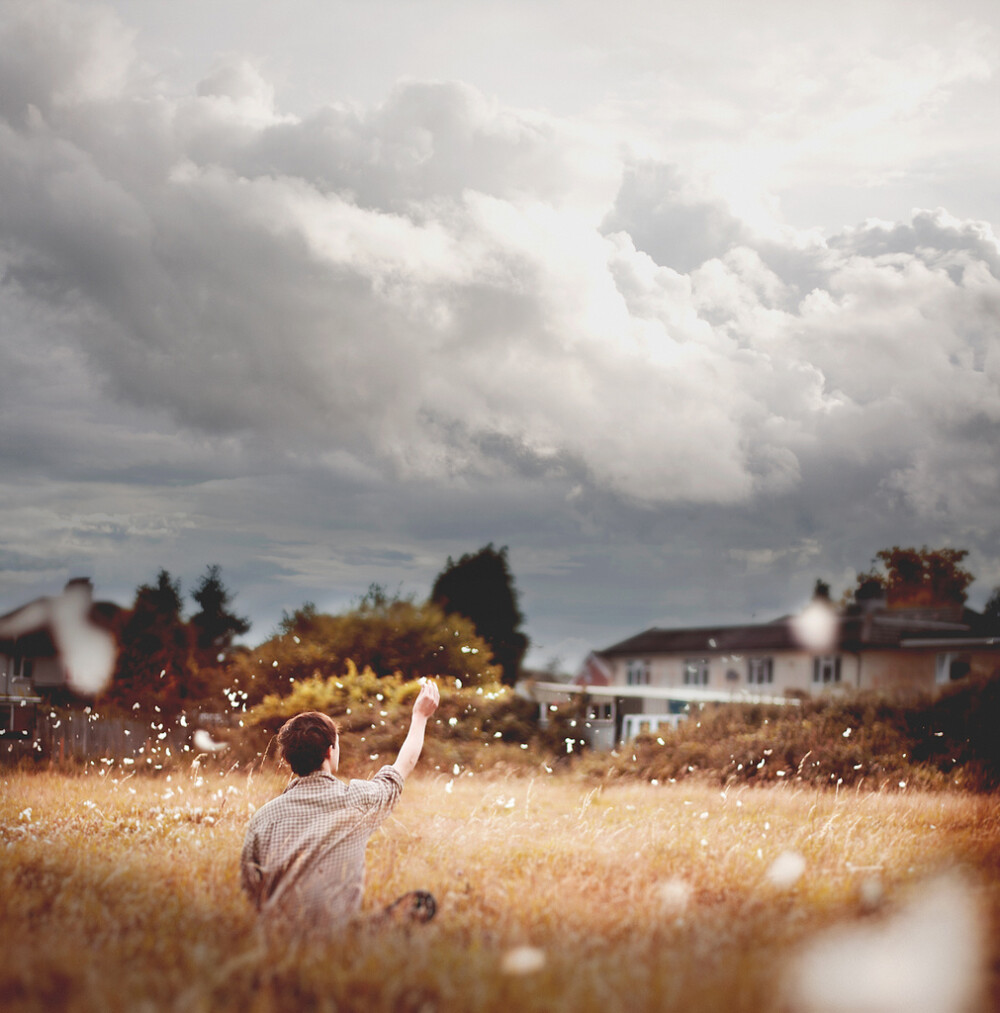 By Luke Sharratt-A curious wind blows this way.