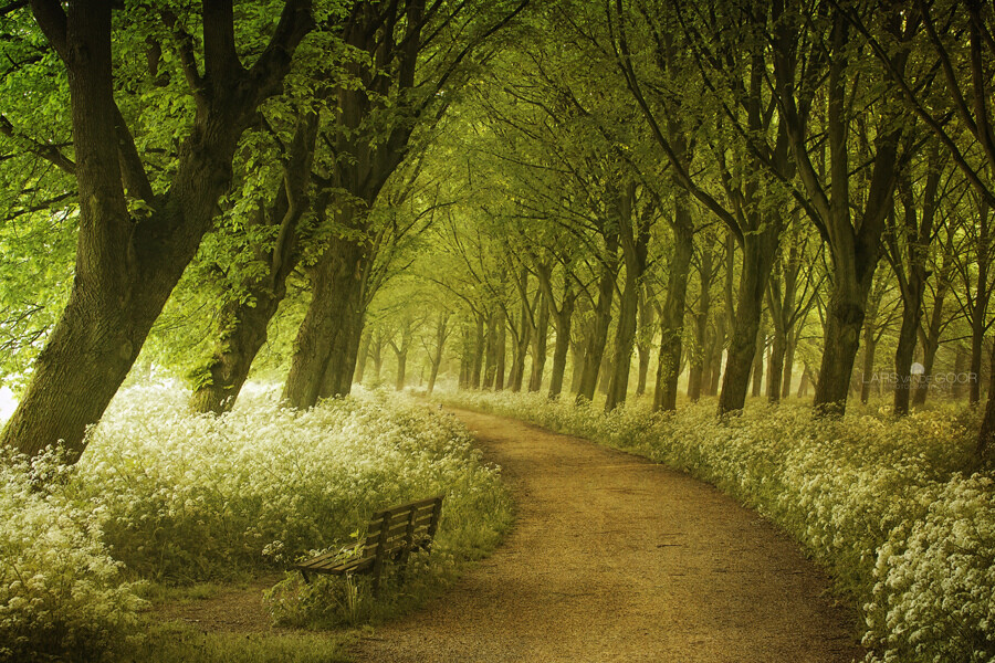 By Lars van de Goor-A seat not taken...