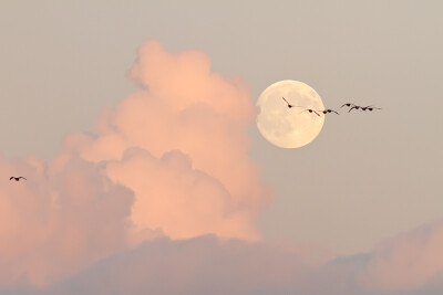 By Roeselien Raimond-Pink Clouds