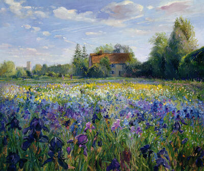 Timothy Easton - Evening at the Iris Field