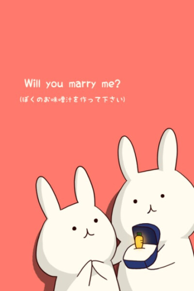 owl【画意】看看兔子之间的求婚吧，Will you marry me?