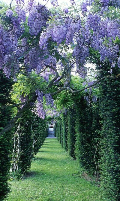 La Ballue城堡花园。法国