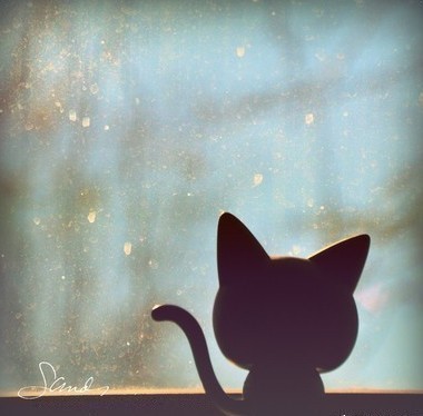 失望只有两种可能：选错了人，或是怀有不该有的期待~~