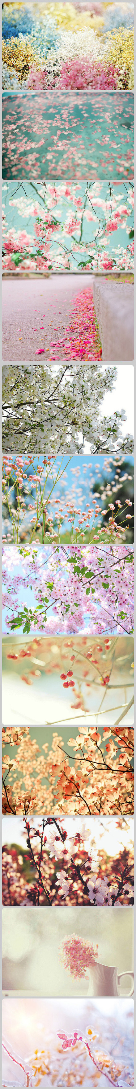 醉言花间意，别情花如依