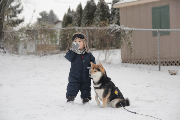 下雪了·