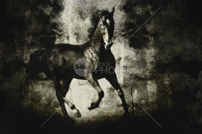 Galloping Horse on Dark Backround Texture wildlife Wild West wild west texture Tail Running outdoors One Animal nobody Motion horse horizontal Galloping fairytale Extreme dust Desert dark Chasing Blac…